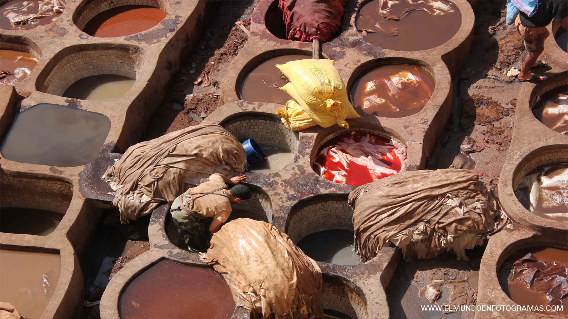 zoco-curtidores-fez