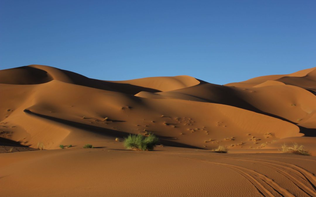Las dunas de Merzouga