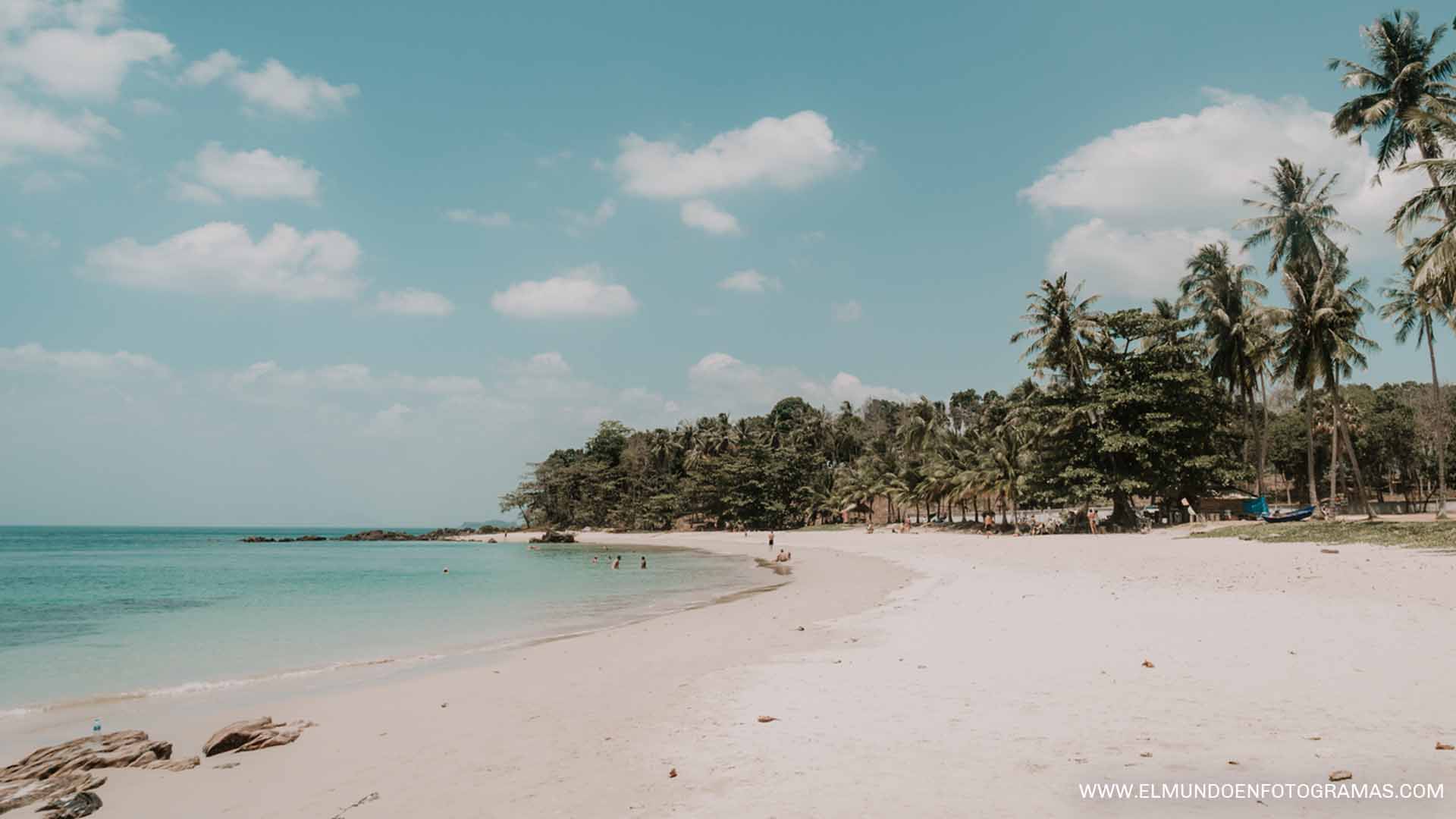 playa con palmeras en Koh Lanta